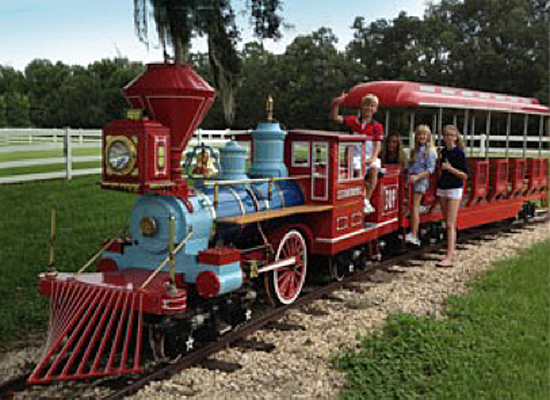 BG Equestrian Train